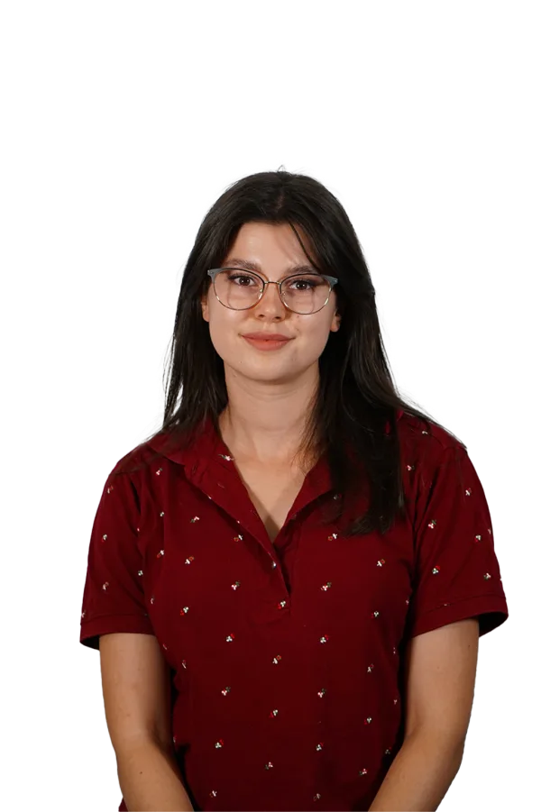 dzeneta džananović